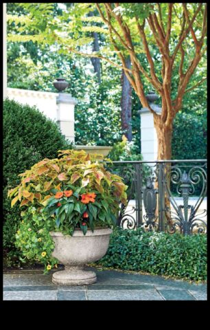 Garden Magic Deblochează secretele Container Greenery