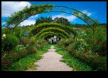 Greenery Grandeur Sfaturi ale experților pentru a crea o grădină uimitoare