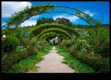 Greenery Grandeur Sfaturi ale experților pentru a crea o grădină uimitoare
